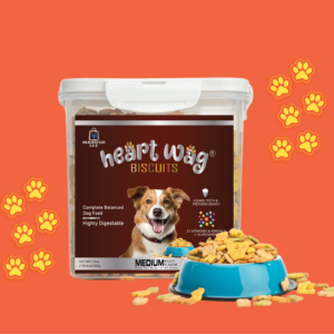 Dog Food biscuits